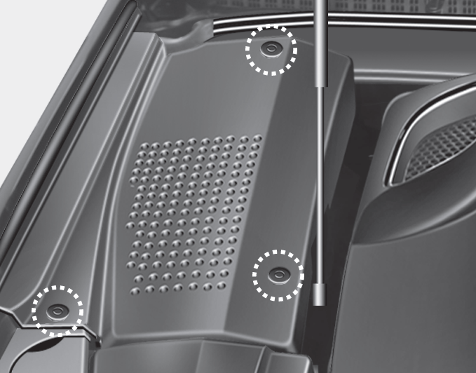 Hyundai Equus Filter replacement Air cleaner Maintenance Hyundai