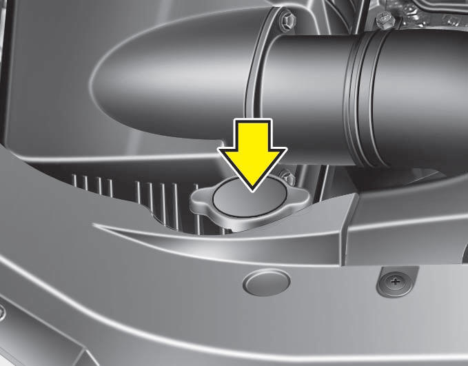 Hyundai Equus Checking the coolant level Engine coolant Maintenance Hyundai Equus 2009