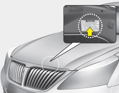 The refrigerant label is located on the underside of the hood.